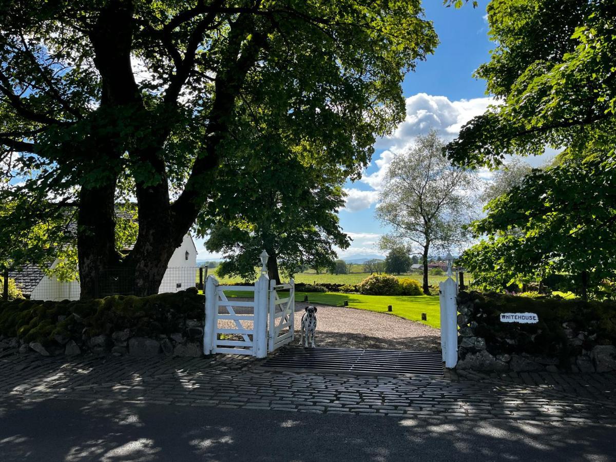 Bed and Breakfast Whitehouse Uplawmoor Exterior foto